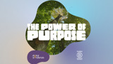 The power of purpose. B Corp month